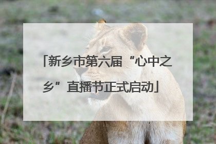 新乡市第六届“心中之乡”直播节正式启动