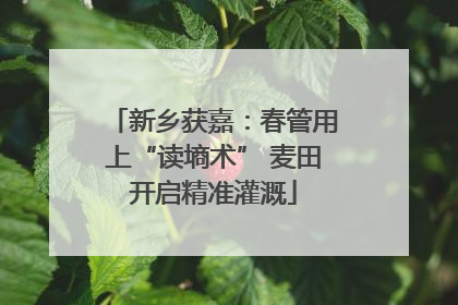 新乡获嘉：春管用上“读墒术” 麦田开启精准灌溉