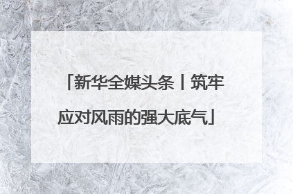 新华全媒头条丨筑牢应对风雨的强大底气