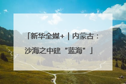 新华全媒+｜内蒙古：沙海之中建“蓝海”