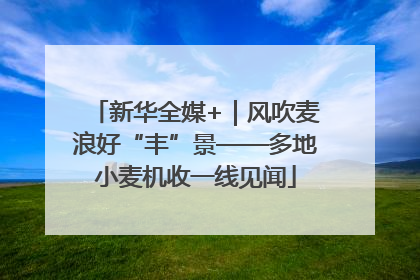 新华全媒+｜风吹麦浪好“丰”景——多地小麦机收一线见闻