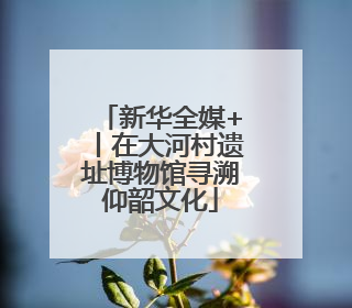 新华全媒+丨在大河村遗址博物馆寻溯仰韶文化