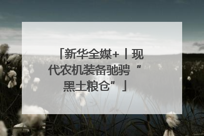 新华全媒+丨现代农机装备驰骋“黑土粮仓”