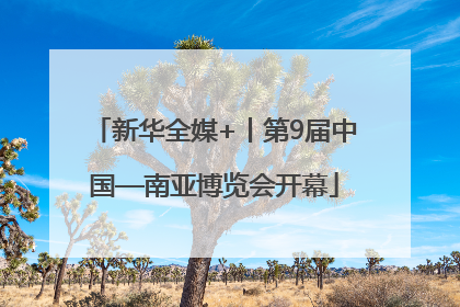新华全媒+丨第9届中国—南亚博览会开幕