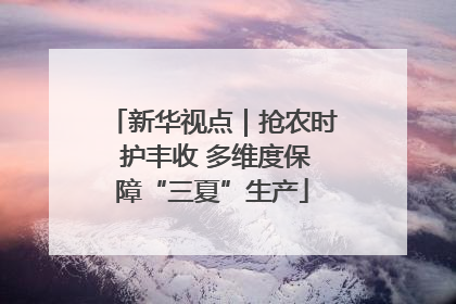 新华视点｜抢农时 护丰收 多维度保障“三夏”生产