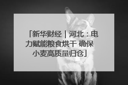 新华财经｜河北：电力赋能粮食烘干 确保小麦高质量归仓