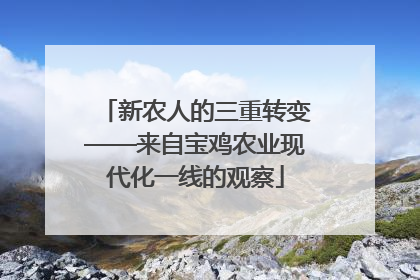 新农人的三重转变——来自宝鸡农业现代化一线的观察