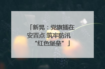 新晃：党旗插在安置点 筑牢防汛“红色堡垒”