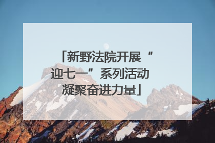 新野法院开展“迎七一”系列活动 凝聚奋进力量