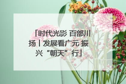 时代光影 百部川扬丨发展看广元 振兴“朝天”行