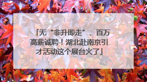 无“非升即走”、百万高薪诚聘！湖北赴南京引才活动这个展台火了