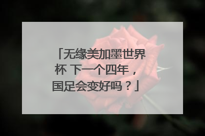 无缘美加墨世界杯 下一个四年，国足会变好吗？