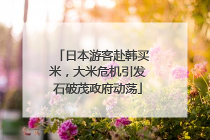 日本游客赴韩买米，大米危机引发石破茂政府动荡