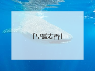 旱碱麦香