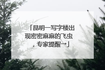 昆明一写字楼出现密密麻麻的飞虫，专家提醒→