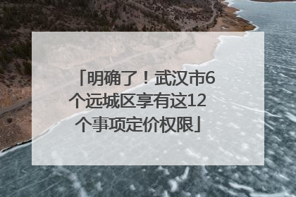 明确了！武汉市6个远城区享有这12个事项定价权限