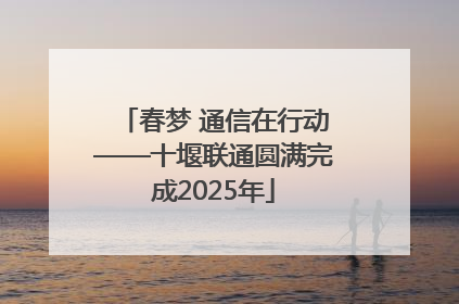 春梦 通信在行动——十堰联通圆满完成2025年