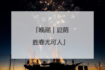 晚潮｜夏荫胜春尤可人