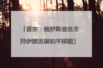 普京：俄罗斯准备支持伊朗发展和平核能