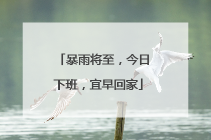 暴雨将至，今日下班，宜早回家