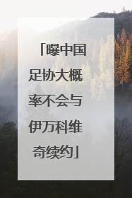 曝中国足协大概率不会与伊万科维奇续约