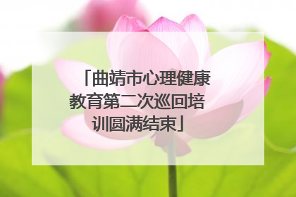 曲靖市心理健康教育第二次巡回培训圆满结束