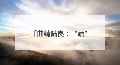 曲靖陆良：“蔬”心电护航粤港澳大湾区“菜篮子”