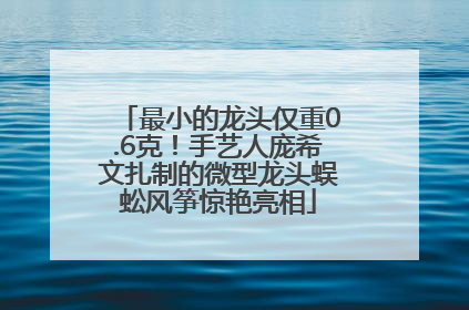 最小的龙头仅重0.6克！手艺人庞希文扎制的微型龙头蜈蚣风筝惊艳亮相