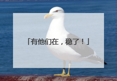 有他们在，稳了！