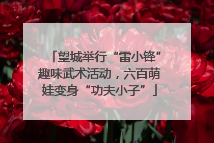 望城举行“雷小锋”趣味武术活动，六百萌娃变身“功夫小子”