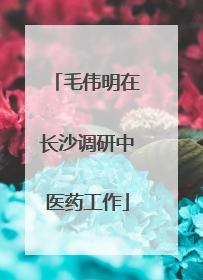 毛伟明在长沙调研中医药工作