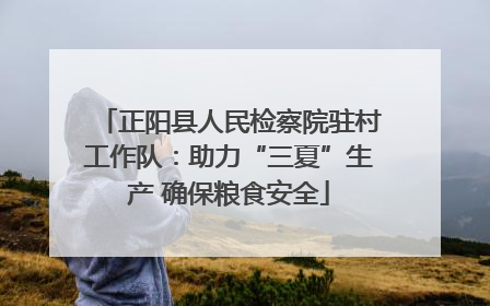 正阳县人民检察院驻村工作队：助力“三夏”生产 确保粮食安全