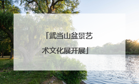 武当山盆景艺术文化展开展