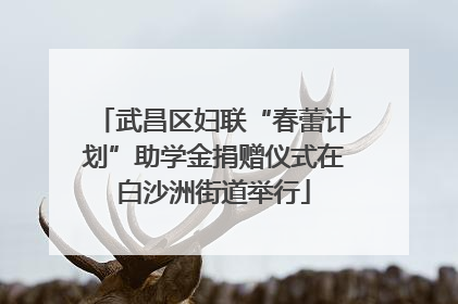 武昌区妇联“春蕾计划”助学金捐赠仪式在白沙洲街道举行