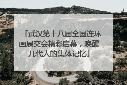 武汉第十八届全国连环画展交会精彩启幕，唤醒几代人的集体记忆