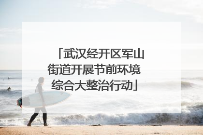 武汉经开区军山街道开展节前环境综合大整治行动