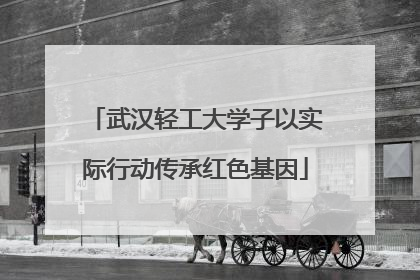武汉轻工大学子以实际行动传承红色基因
