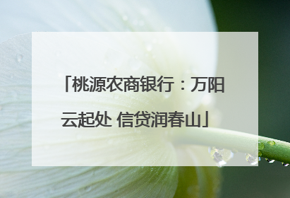 桃源农商银行：万阳云起处 信贷润春山