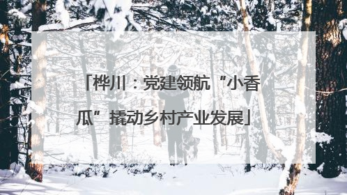 桦川：党建领航“小香瓜”撬动乡村产业发展