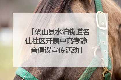 梁山县水泊街道名仕社区开展中高考静音倡议宣传活动