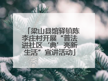 梁山县馆驿镇陈李庄村开展“普法进社区‘典’亮新生活”宣讲活动