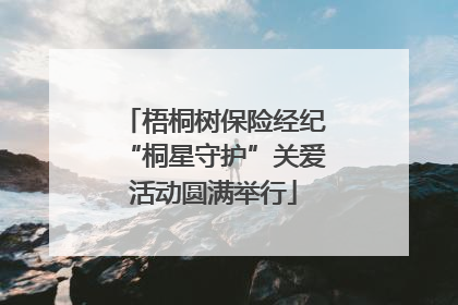 梧桐树保险经纪“桐星守护”关爱活动圆满举行
