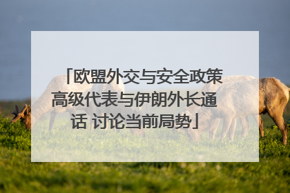 欧盟外交与安全政策高级代表与伊朗外长通话 讨论当前局势