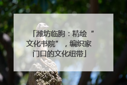 潍坊临朐：精绘“文化书院”，编织家门口的文化纽带