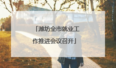 潍坊全市就业工作推进会议召开