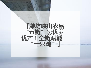 潍坊峡山农品“五链”③优养优产！全链赋能“一只鸡”