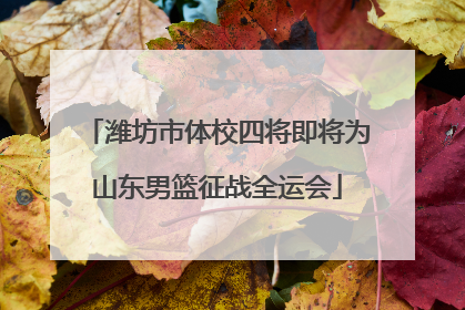 潍坊市体校四将即将为山东男篮征战全运会