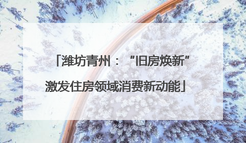 潍坊青州：“旧房焕新”激发住房领域消费新动能