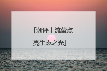 潮评丨流萤点亮生态之光