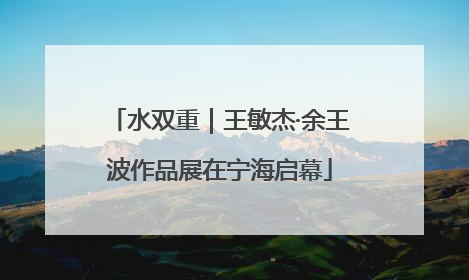 水双重｜王敏杰·余王波作品展在宁海启幕